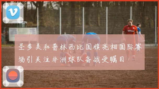 圣多美和普林西比国旗亮相国际赛场引关注非洲球队备战受瞩目