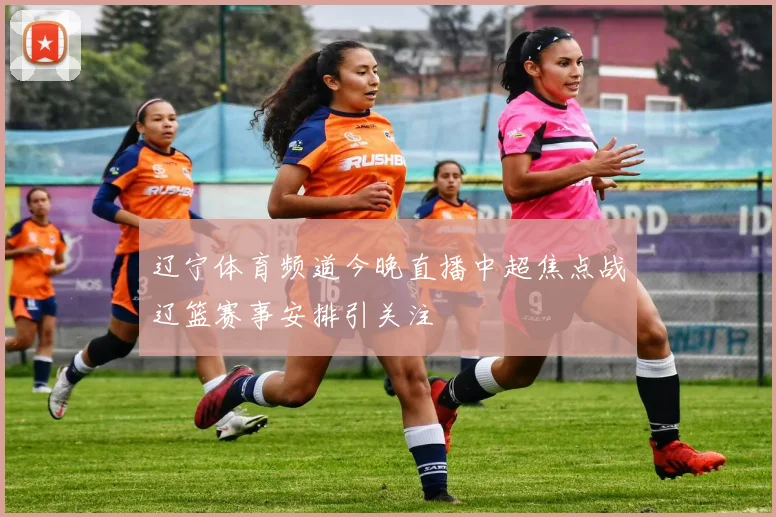 辽宁体育频道今晚直播中超焦点战辽篮赛事安排引关注