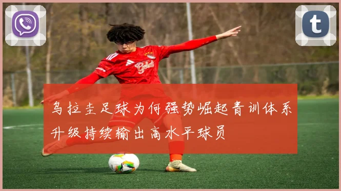 乌拉圭足球为何强势崛起青训体系升级持续输出高水平球员