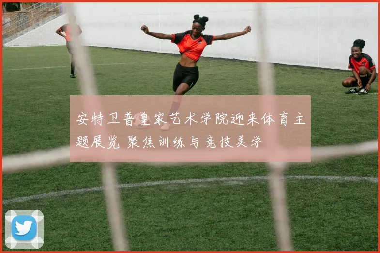 安特卫普皇家艺术学院迎来体育主题展览 聚焦训练与竞技美学