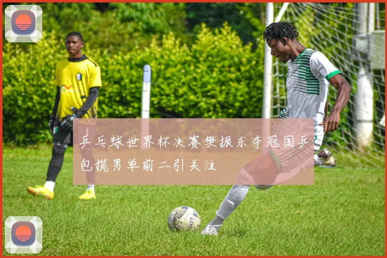 乒乓球世界杯决赛樊振东夺冠国乒包揽男单前二引关注