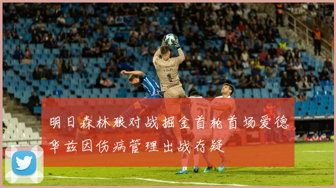 明日森林狼对战掘金首轮首场爱德华兹因伤病管理出战存疑