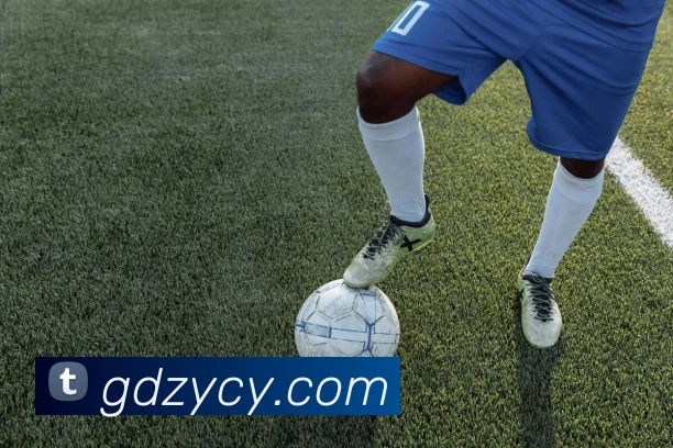 九游9官方入口平台生态图