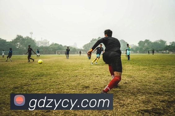 九游9官方入口APP 封面图