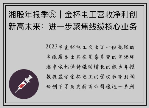 湘股年报季⑤｜金杯电工营收净利创新高未来：进一步聚焦线缆核心业务